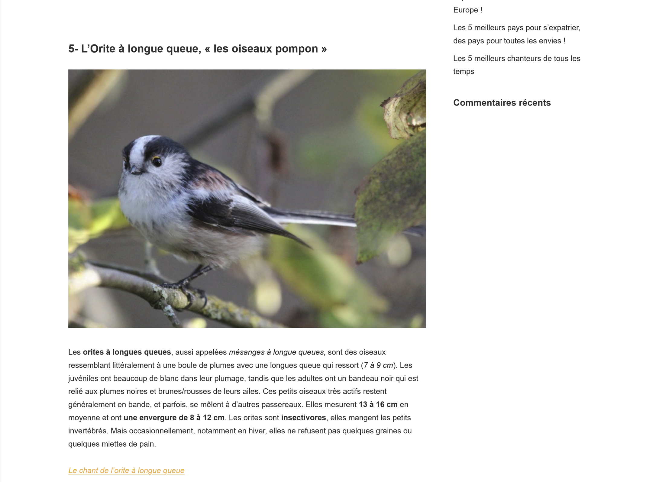 Blog 2